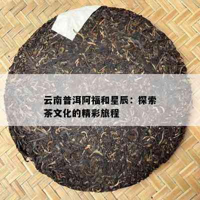 云南普洱阿福和星辰：探索茶文化的精彩旅程