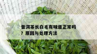 普洱茶长白毛有味道正常吗？原因与处理方法