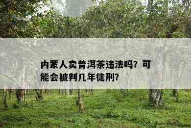 内蒙人卖普洱茶违法吗？可能会被判几年徒刑？