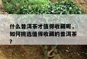 什么普洱茶才值得收藏呢，如何挑选值得收藏的普洱茶？