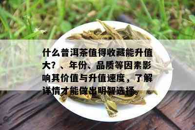 什么普洱茶值得收藏能升值大？、年份、品质等因素影响其价值与升值速度，了解详情才能做出明智选择。