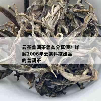 云茶普洱茶怎么分真假？详解2006年云茶科技出品的普洱茶