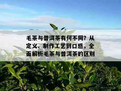 毛茶与普洱茶有何不同？从定义、制作工艺到口感，全面解析毛茶与普洱茶的区别。