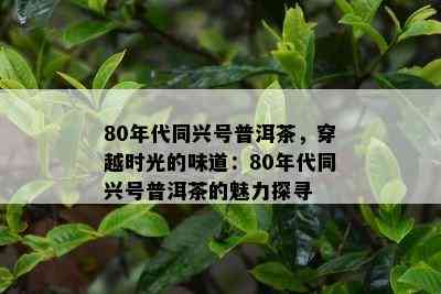 80年代同兴号普洱茶，穿越时光的味道：80年代同兴号普洱茶的魅力探寻