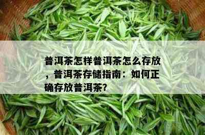 普洱茶怎样普洱茶怎么存放，普洱茶存储指南：如何正确存放普洱茶？