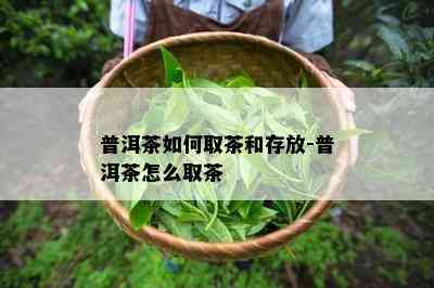 普洱茶如何取茶和存放-普洱茶怎么取茶