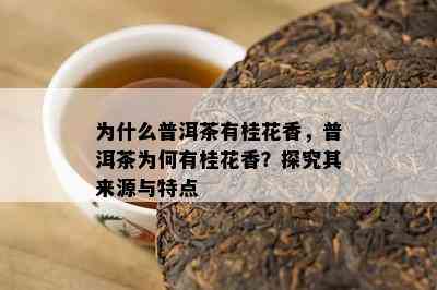 为什么普洱茶有桂花香，普洱茶为何有桂花香？探究其来源与特点