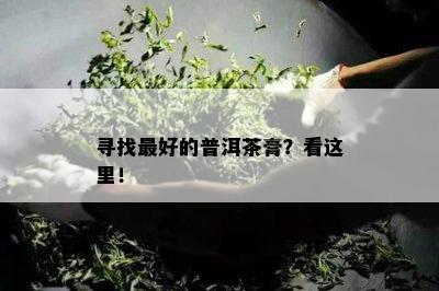 寻找更好的普洱茶膏？看这里！