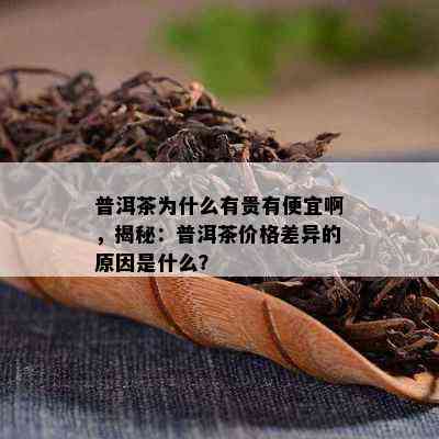 普洱茶为什么有贵有便宜啊，揭秘：普洱茶价格差异的原因是什么？