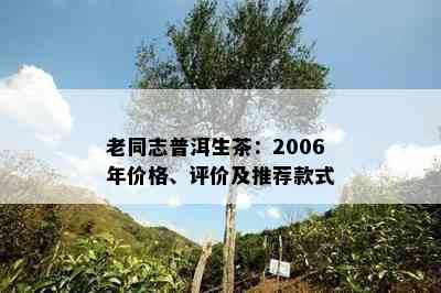 老同志普洱生茶：2006年价格、评价及推荐款式