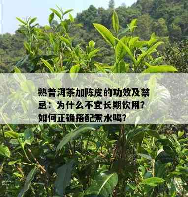 熟普洱茶加陈皮的功效及禁忌：为什么不宜长期饮用？如何正确搭配煮水喝？