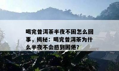 喝完普洱茶半夜不困怎么回事，揭秘：喝完普洱茶为什么半夜不会感到困倦？