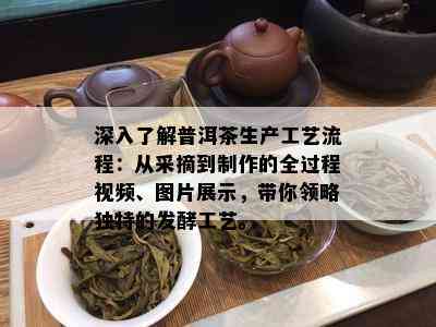 深入了解普洱茶生产工艺流程：从采摘到制作的全过程视频、图片展示，带你领略独特的发酵工艺。