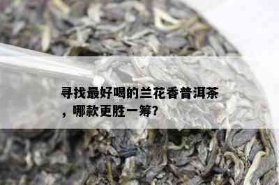 寻找更好喝的兰花香普洱茶，哪款更胜一筹？