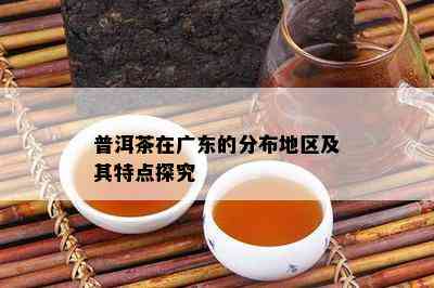 普洱茶在广东的分布地区及其特点探究