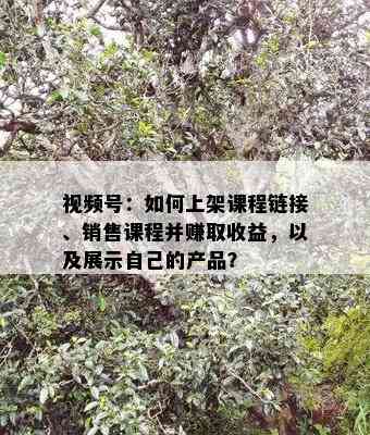 视频号：如何上架课程链接、销售课程并赚取收益，以及展示自己的产品？