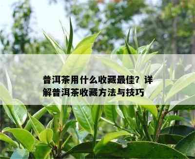 普洱茶用什么收藏更佳？详解普洱茶收藏方法与技巧