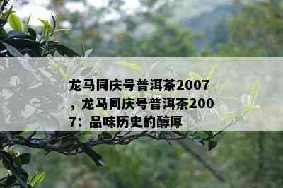 龙马同庆号普洱茶2007，龙马同庆号普洱茶2007：品味历史的醇厚