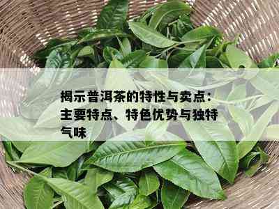 揭示普洱茶的特性与卖点：主要特点、特色优势与独特气味