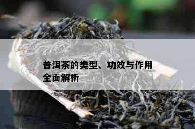 普洱茶的类型、功效与作用全面解析