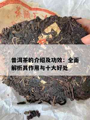 普洱茶的介绍及功效：全面解析其作用与十大好处