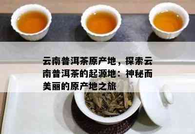 云南普洱茶原产地，探索云南普洱茶的起源地：神秘而美丽的原产地之旅