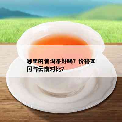 哪里的普洱茶好喝？价格如何与云南对比？