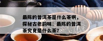 最陈的普洱茶是什么茶啊，探秘古老韵味：最陈的普洱茶究竟是什么茶？