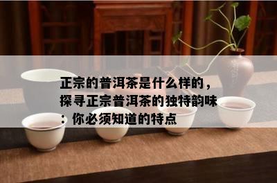 正宗的普洱茶是什么样的，探寻正宗普洱茶的独特韵味：你必须知道的特点