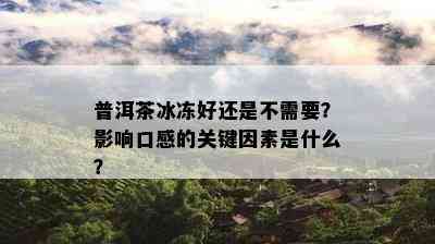 普洱茶冰冻好还是不需要？影响口感的关键因素是什么？