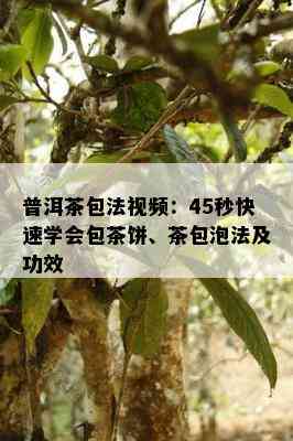 普洱茶包法视频：45秒快速学会包茶饼、茶包泡法及功效