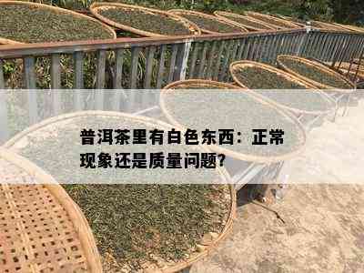 普洱茶里有白色东西：正常现象还是质量问题？