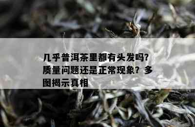 几乎普洱茶里都有头发吗？质量问题还是正常现象？多图揭示真相