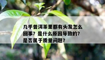 几乎普洱茶里都有头发怎么回事？是什么原因导致的？是否属于质量问题？