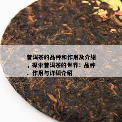 普洱茶的品种和作用及介绍，探索普洱茶的世界：品种、作用与详细介绍