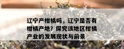 辽宁产柑橘吗，辽宁是否有柑橘产地？探究该地区柑橘产业的发展现状与前景