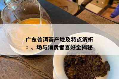 广东普洱茶产地及特点解析：、场与消费者喜好全揭秘