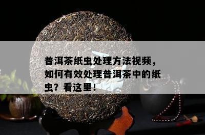 普洱茶纸虫处理方法视频，如何有效处理普洱茶中的纸虫？看这里！