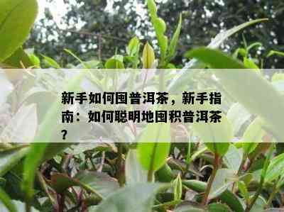 新手如何囤普洱茶，新手指南：如何聪明地囤积普洱茶？