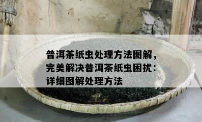 普洱茶纸虫处理方法图解，完美解决普洱茶纸虫困扰：详细图解处理方法