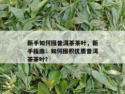 新手如何囤普洱茶茶叶，新手指南：如何囤积优质普洱茶茶叶？