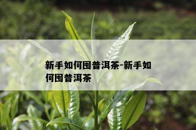 新手如何囤普洱茶-新手如何囤普洱茶