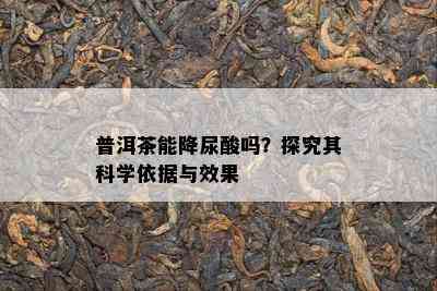 普洱茶能降尿酸吗？探究其科学依据与效果