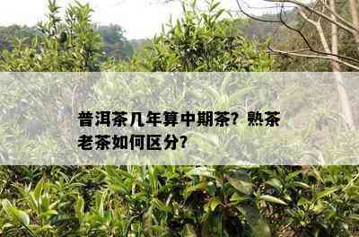 普洱茶几年算中期茶？熟茶老茶如何区分？