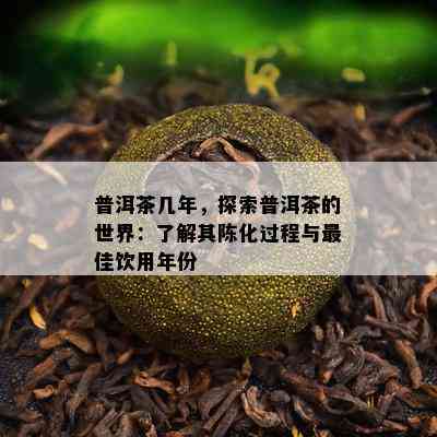 普洱茶几年，探索普洱茶的世界：了解其陈化过程与更佳饮用年份