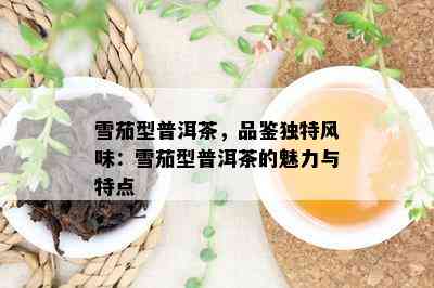 雪茄型普洱茶，品鉴独特风味：雪茄型普洱茶的魅力与特点