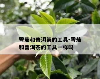 雪茄和普洱茶的工具-雪茄和普洱茶的工具一样吗