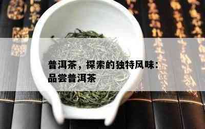 普洱茶，探索的独特风味：品尝普洱茶