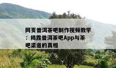 网页普洱茶吧制作视频教学：揭露普洱茶吧App与茶吧渠道的真相