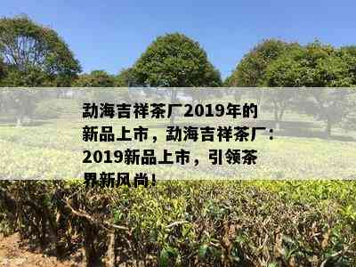 勐海吉祥茶厂2019年的新品上市，勐海吉祥茶厂：2019新品上市，引领茶界新风尚！